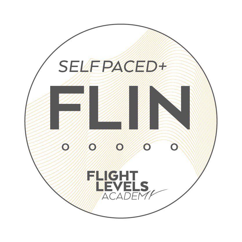 Flight Levels INtroduction badge